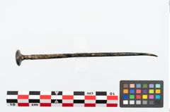 Foto von Bronzepetschaftkopfnadel (NHMW-PRAE-026138)